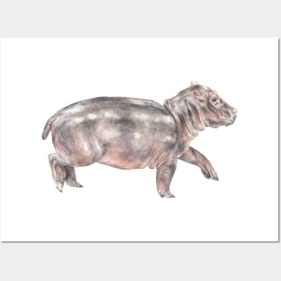 Watercolor Baby Tiptoeing Hippo Posters and Art